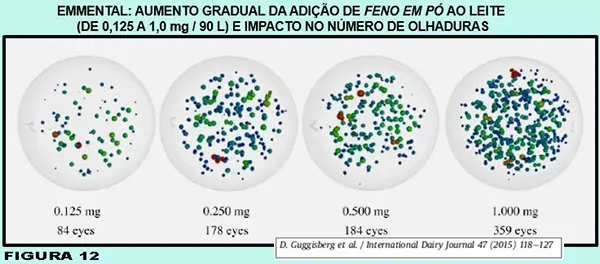 Queijo Suíço: o problema de olhaduras irregulares e mal distribuídas - uma revisão