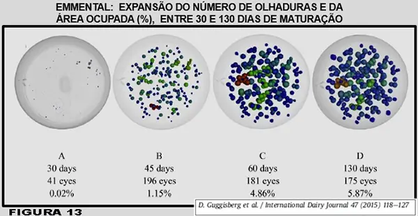 Queijo Suíço: o problema de olhaduras irregulares e mal distribuídas - uma revisão