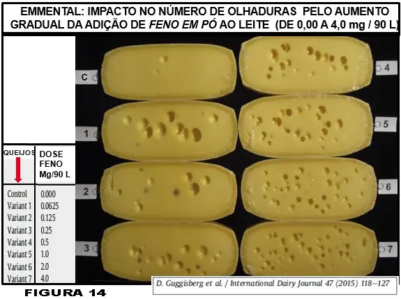 Queijo Suíço: o problema de olhaduras irregulares e mal distribuídas - uma revisão