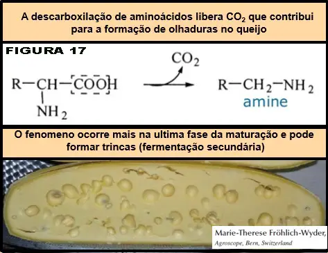 Queijo Suíço: o problema de olhaduras irregulares e mal distribuídas - uma revisão