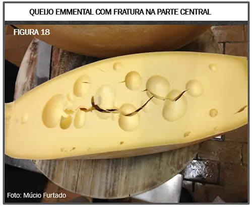 Queijo Suíço: o problema de olhaduras irregulares e mal distribuídas - uma revisão