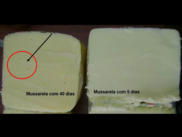 Produção de gás por <i>Streptococcus thermophilus</i> em Mussarela