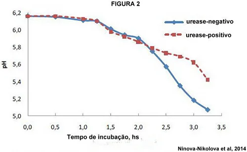 Produção de gás por Streptococcus thermophilus em Mussarela