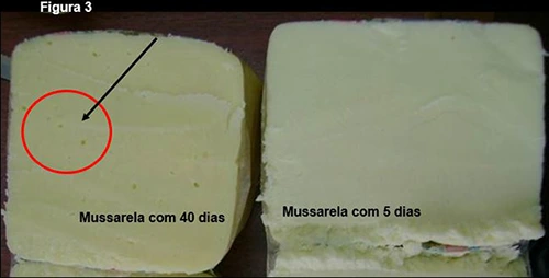 Produção de gás por Streptococcus thermophilus em Mussarela