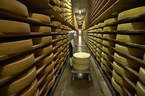 Uso de madeira na maturação de queijos: uma tradição secular a ser respeitada