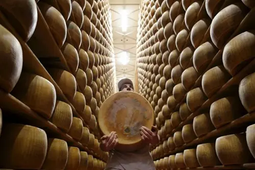 Uso de madeira na maturação de queijos: uma tradição secular a ser respeitada
