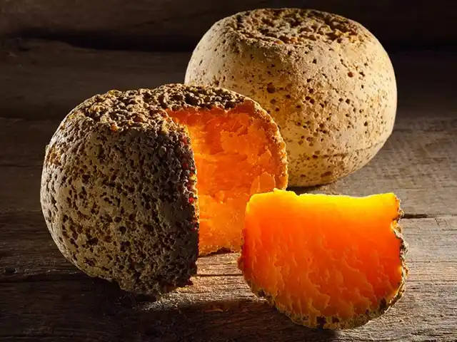 O queijo Mimolette: obra de arte, esculpida por bactérias, fungos e ácaros