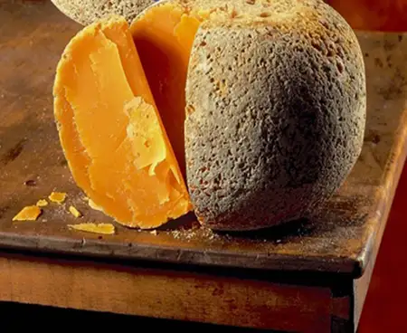 O queijo Mimolette: obra de arte, esculpida por bactérias, fungos e ácaros