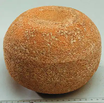 O queijo Mimolette: obra de arte, esculpida por bactérias, fungos e ácaros