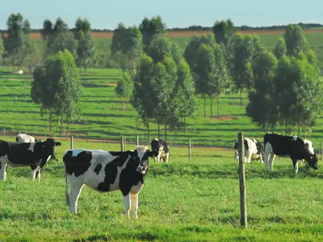 ATeG Leite e Balde Cheio são unificados em MG