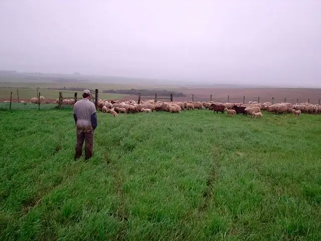 Ano novo. Crise velha!