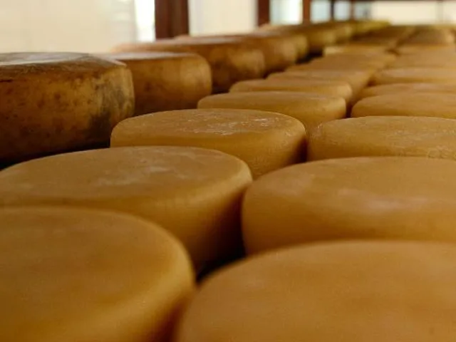 Governo de Minas anuncia medidas de fortalecimento da produção de queijo artesanal