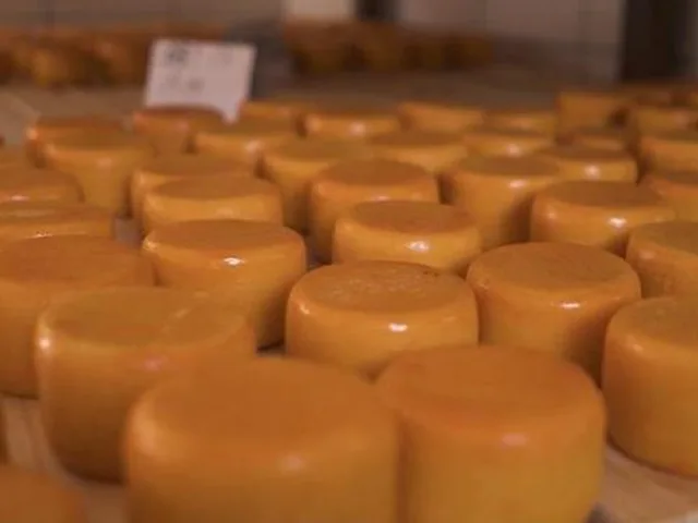 Emater-MG promove capacitação on-line em boas práticas de produção de queijo