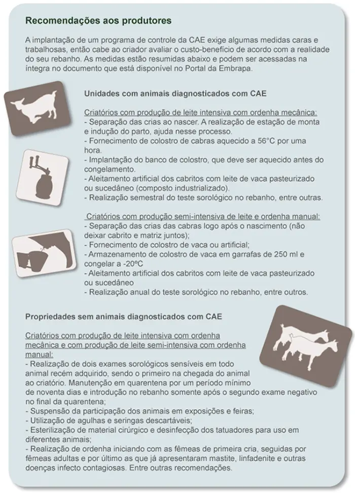 Caprinocultores conseguem manter produção de leite mesmo com a CAE, doença que atinge os animais