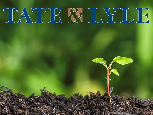 Tate & Lyle reduz em 25% emissões de gases de efeito estufa e em 37% resíduos em aterros sanitários