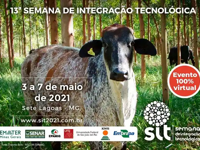 Cooperação e inovação no meio rural favorecem pecuária leiteira