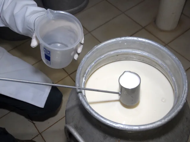 Embrapa lança Programa de Eficiência na Gestão de Laticínios