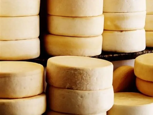 Governo do MS normatiza produção e comercialização do Queijo Artesanal Caipira