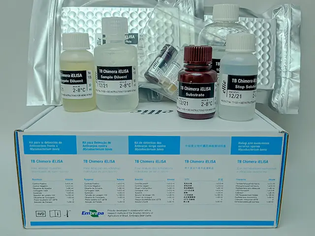 Embrapa desenvolve kit que acelera o diagnóstico da tuberculose bovina
