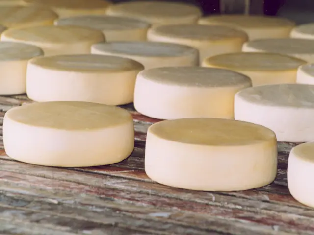 Queijo Minas Artesanal precisa ser regulamentado
