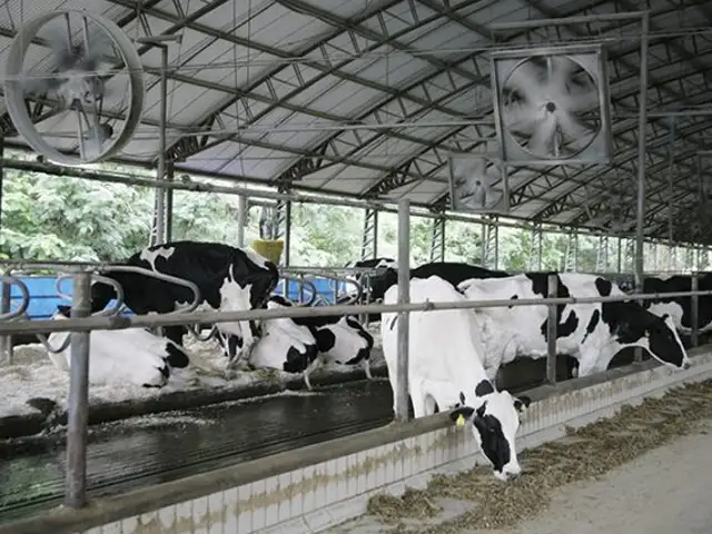 Programa Descomplica Rural agiliza processos de licenciamento ambiental na cadeia do leite