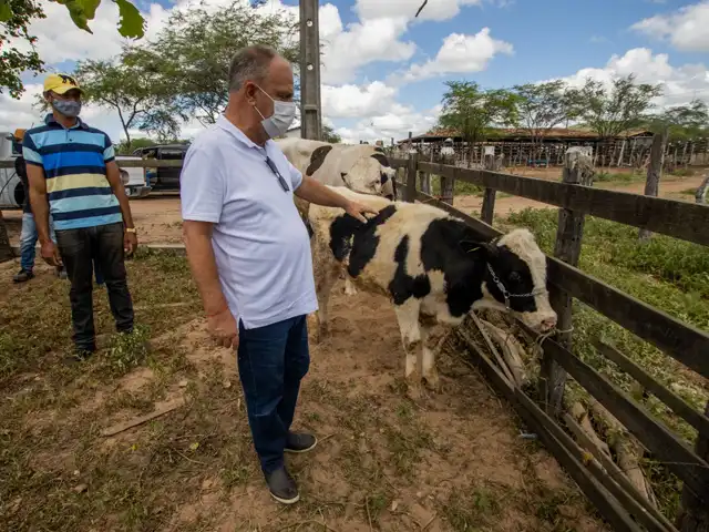 Projeto em Sergipe pode beneficiar pequenos produtores de leite do Alto Sertão