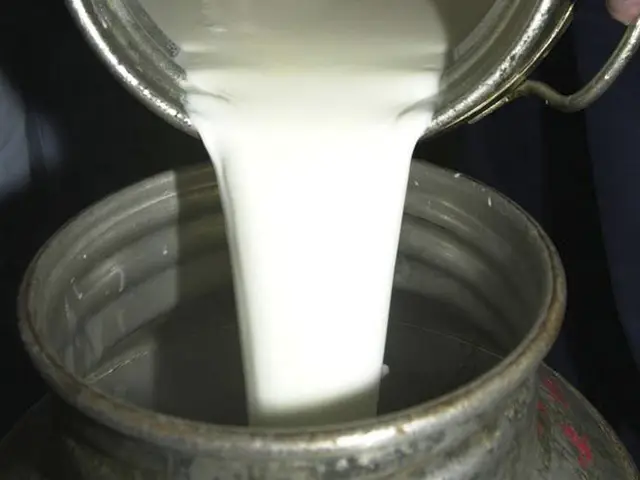 Preço do leite pago ao produtor de MG sobe 5,19% em julho