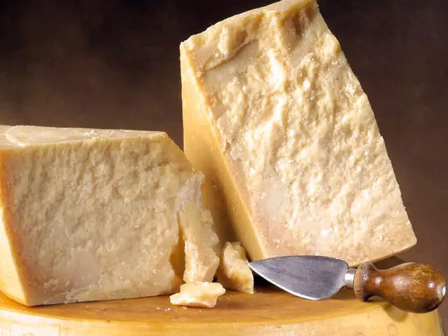 Queijo parmesão é novo atrito em acordo UE-Mercosul