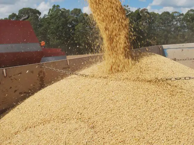 Firme demanda externa pelo farelo de soja eleva preços no Brasil