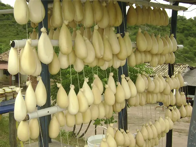 Governo de MG anuncia inclusão de novos municípios como produtores de queijo Cabacinha no Vale do Jequitinhonha