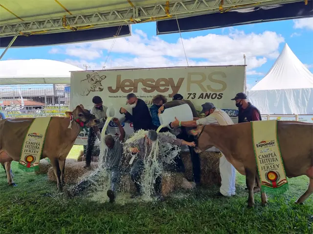 Concurso Leiteiro de Sólidos destaca valor nutricional do produto e valoriza raça Jersey