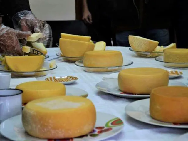 Minas Gerais poderá reconhecer mais uma região produtora do Queijo Minas Artesanal