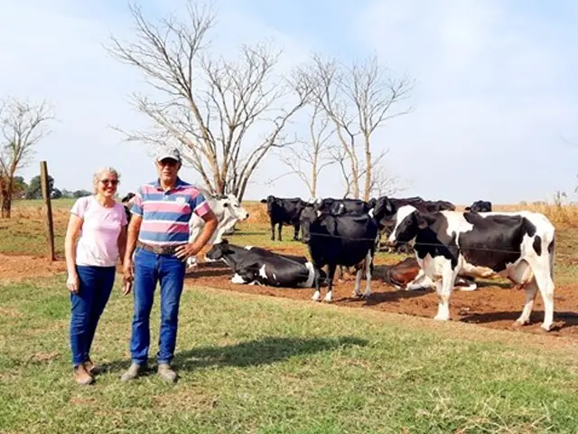Produtores de leite investem na diferenciação do produto, com vistas a melhorar a rentabilidade