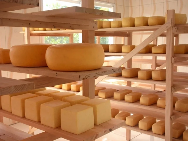 Produção do queijo artesanal serrano vai passar por qualificação
