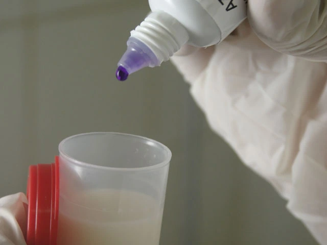 Produtores querem laboratório de qualidade de leite e novas tecnologias