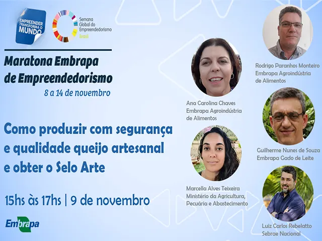 Produção de queijos artesanais na Maratona Embrapa de Empreendedorismo