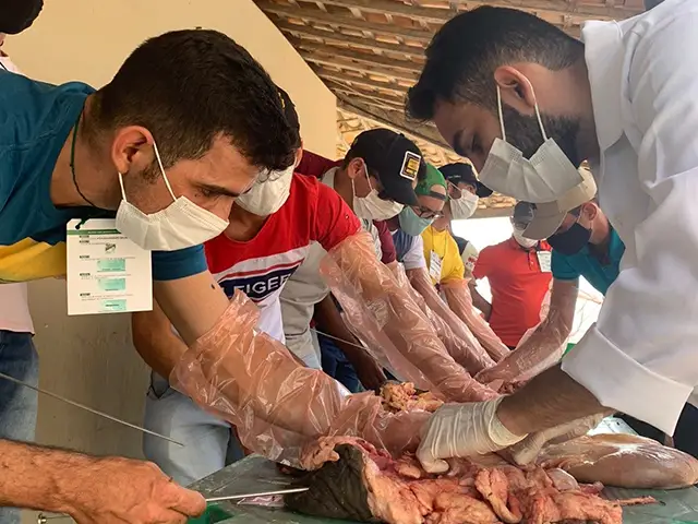 Senar Sergipe capacita produtores de leite do alto sertão na técnica de inseminação artificial