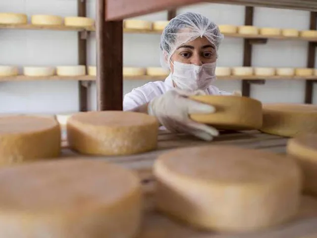 Iphan reconhece mais regiões mineiras como produtoras do Queijo Minas