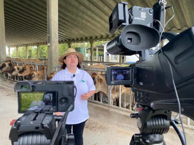 Dia de Campo aborda Programa Leite Seguro e a qualificação da produção de leite e derivados no Sul do país