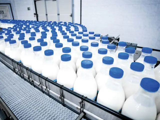 Produtos lácteos têm queda generalizada em novembro
