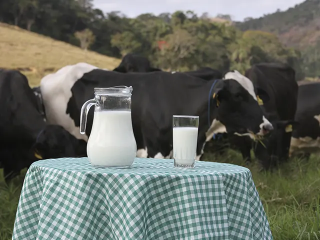 Milho e soja desaceleram, mas preço do leite também recua