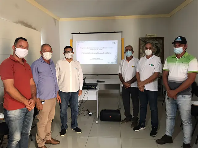 Embrapa e cooperativas da Bahia lançam programa de melhoramento genético de caprinos e ovinos