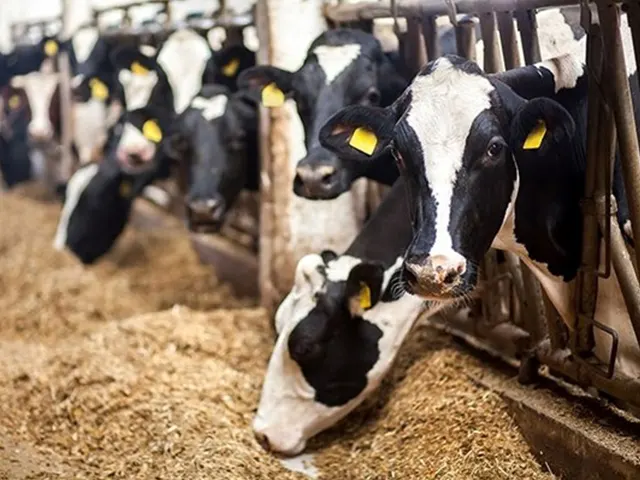 Cadeia leiteira é alvo da capacitação oferecida pela Secretaria de Agricultura e Abastecimento