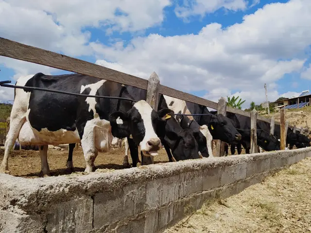Programa ATeG Balde Cheio aumenta renda de produtores em 145%