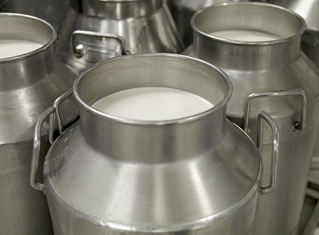 Preço do leite pago ao produtor de MT em 2021 ficou 32,86% maior que a média de 2020