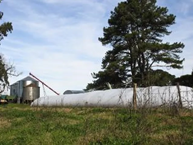 Poliamida é uma alternativa para filmes para agricultura