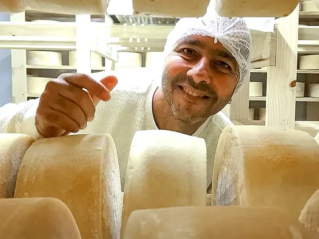 Queijo produzido em Teresópolis na lista dos melhores do Brasil
