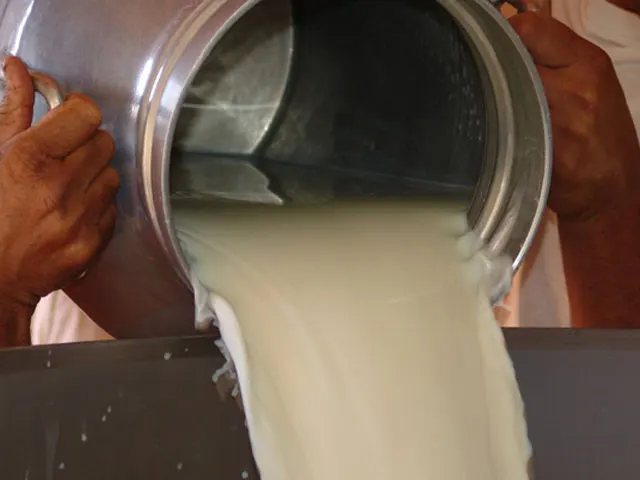 Importação de leite recua, mas balança comercial segue deficitária