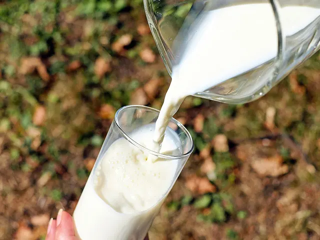 Preço do leite recua no MT em decorrência da maior oferta diante das condições climáticas favoráveis
