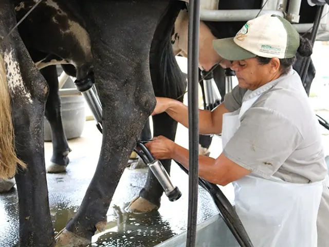 Abraleite projeta Brasil como maior produtor e principal exportador de leite mundial